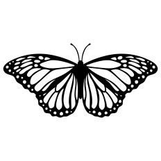 Butterfly Silhouette