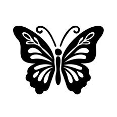 Elegant Butterfly