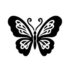 Elegant Butterfly