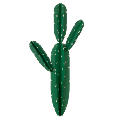 Cactu 3D June Party
