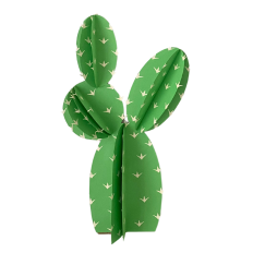 Cactu 3D June Party