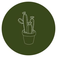 Cactus Sticker