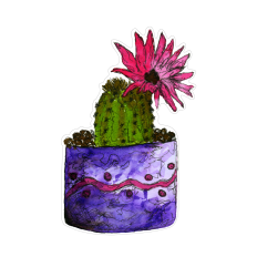 Cactus