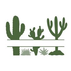 Desert Cactus Split Frame, Southwestern Succulents