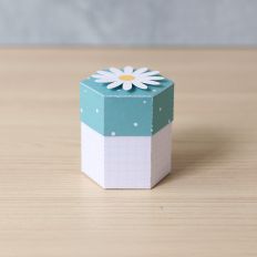 Hexagonal Box Small Daisy
