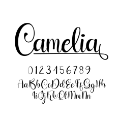 Camelia Font