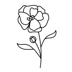 Hand-Drawn Camellia Flower – Botanical Outline Cut File for Silhouette Studio