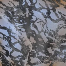 RE Camo 2 Background