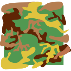Camo Pattern