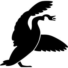 Canada Goose