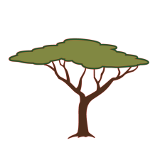 African Tree