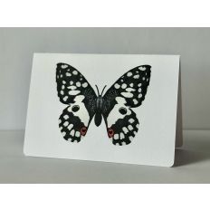 Black n white butterfly PNC Card