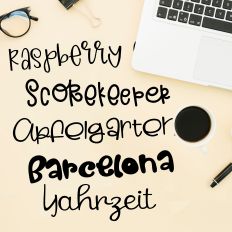 Carpe Diem Font Bundle