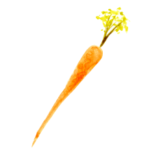 Watercolor Carrot