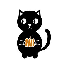 Cute cat with pumpkin