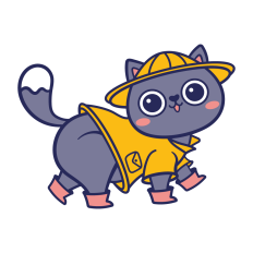 Funny Cat in a Raincoat and Rubber Boots