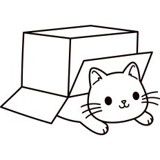 Cat In The Box