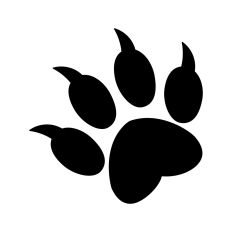 Cat Paw