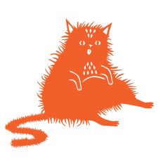 Cat scruffy chonk
