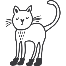 Cat with Boots