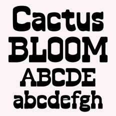 BFC Cactus Bloom Bold Western Cowgirl Rodeo Font