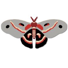 Cecropia Moth 
