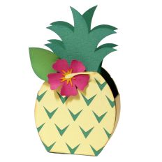 Pineapple Treat Box