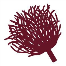 Pompom cut file