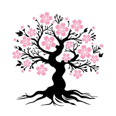 Cherry Blossom Tree
