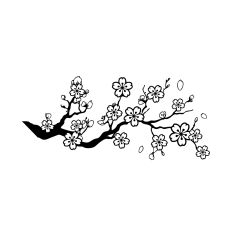 Cherry Blossom Branches