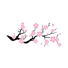 Cherry Blossom Branches