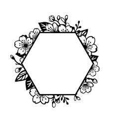 Hexagon Floral Frame