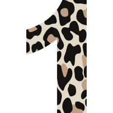 Cheetah Number 1