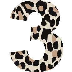 Cheetah Number 3