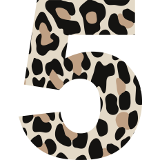 Cheetah Number 5