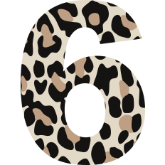 Cheetah Number 6