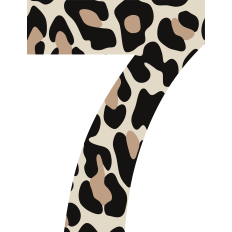 Cheetah Number 7