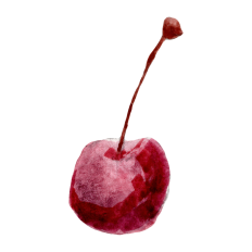 Watercolor Cherry