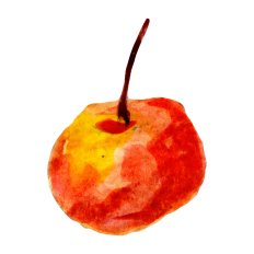 Watercolor Cherries