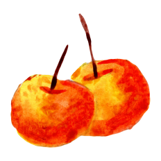 Watercolor Cherries