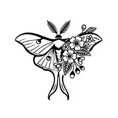 Floral Moth