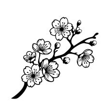 Cherry Blossom Branch 