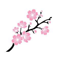 Cherry Blossom Branch 