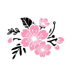 Cherry Blossom