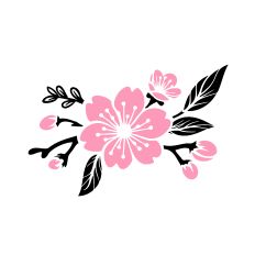 Cherry Blossom