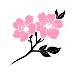 Cherry Blossom