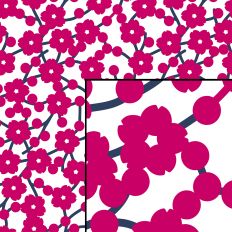 Sakura Cherry Blossom Floral Seamless Pattern Pink and White