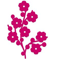 Cherry Blossom Sakura Branch