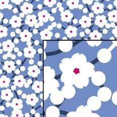 Sakura Cherry Blossom Seamless Pattern Blue and White