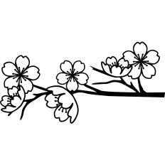 Cherry Tree Branch